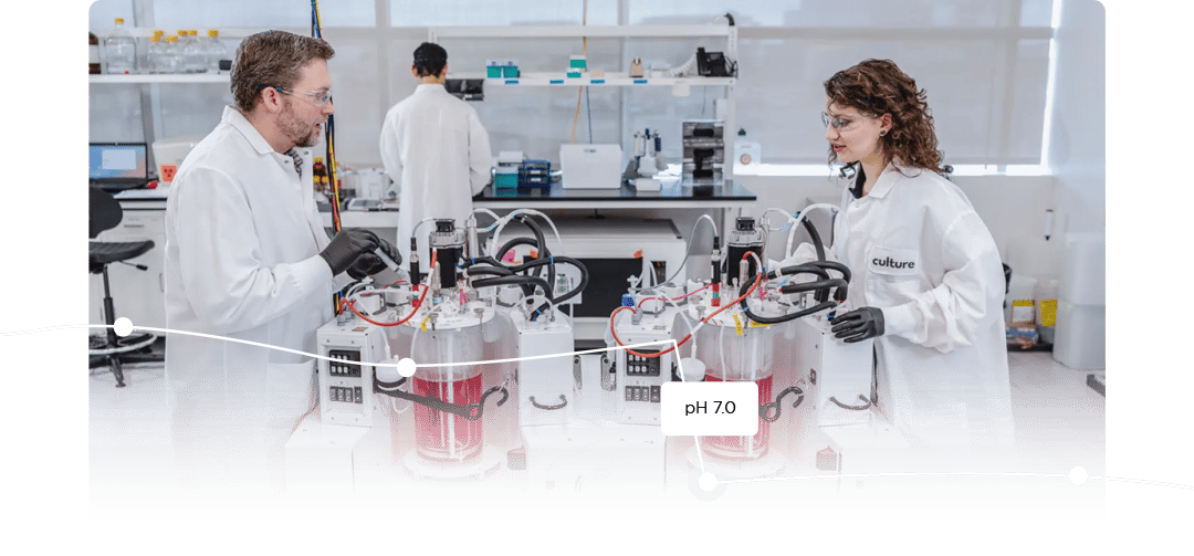 Culture-Thank-You-Header