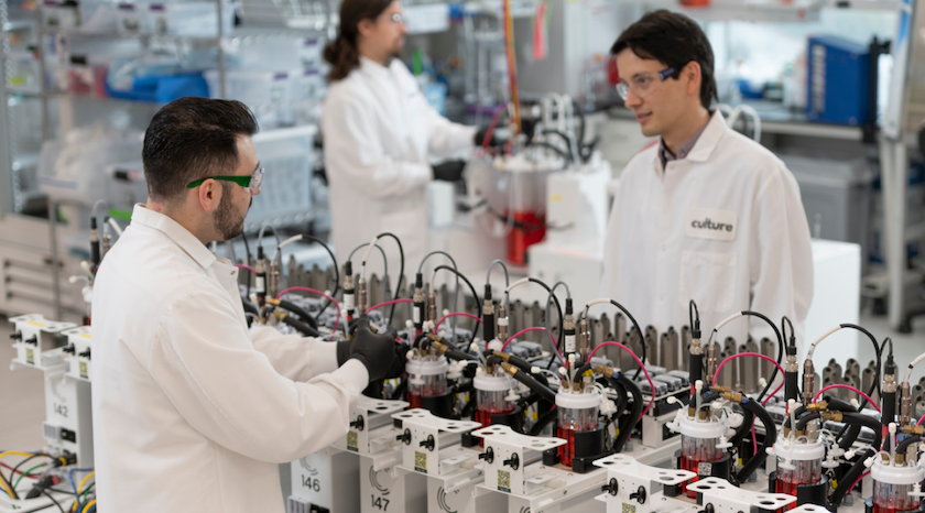 Culture Solutions: Systematic & Automated Analysis for Cell Line Screening