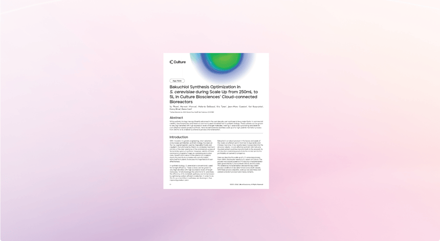 Bakuchiol Synthesis Scale Up