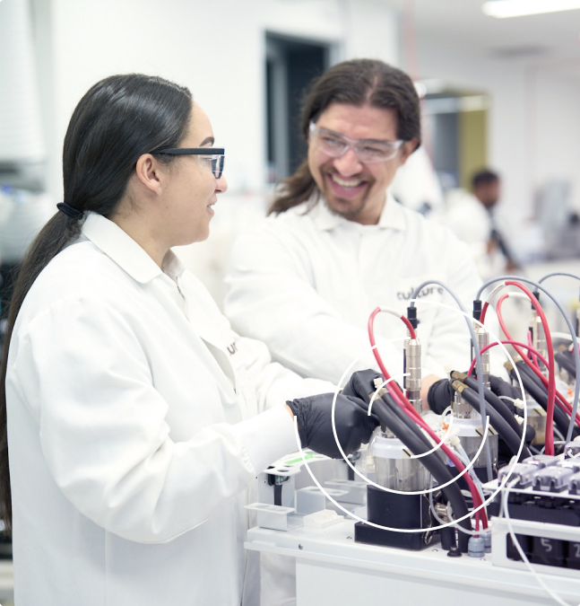 Bioprocess Modeling & Simulation Services